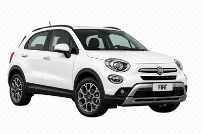 Fiat fuel system components
